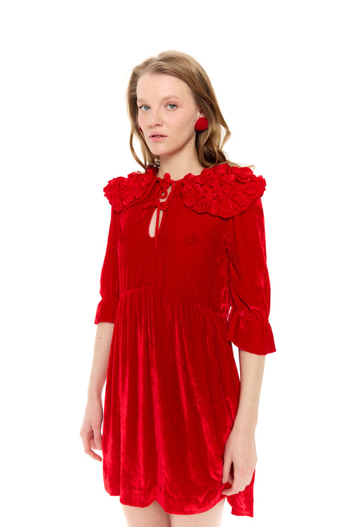 "Velvet Poppy" ¾ sleeve mini dress